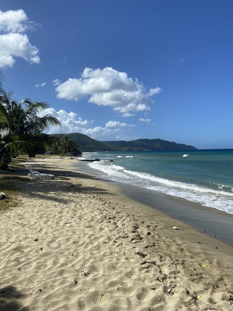 Idyllic sandy beach with palm trees and blue skies in St Croix, U.S. Virgin Islands.