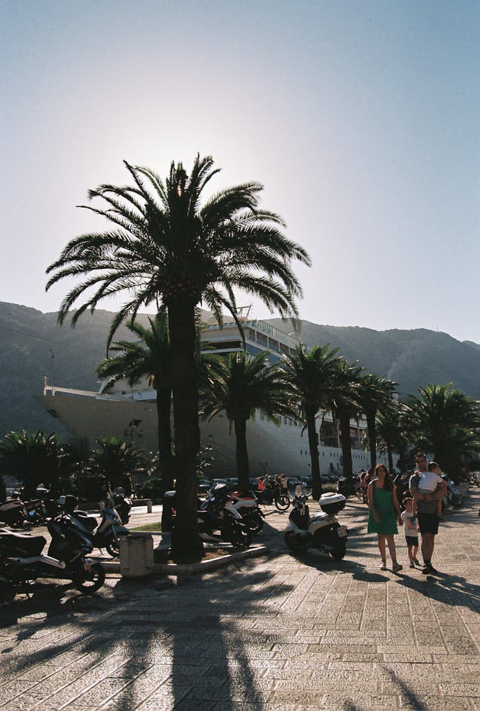 Palm-lined walkway with cruise ship in sunny Kotor, Montenegro, featuring tourists and clear skies.