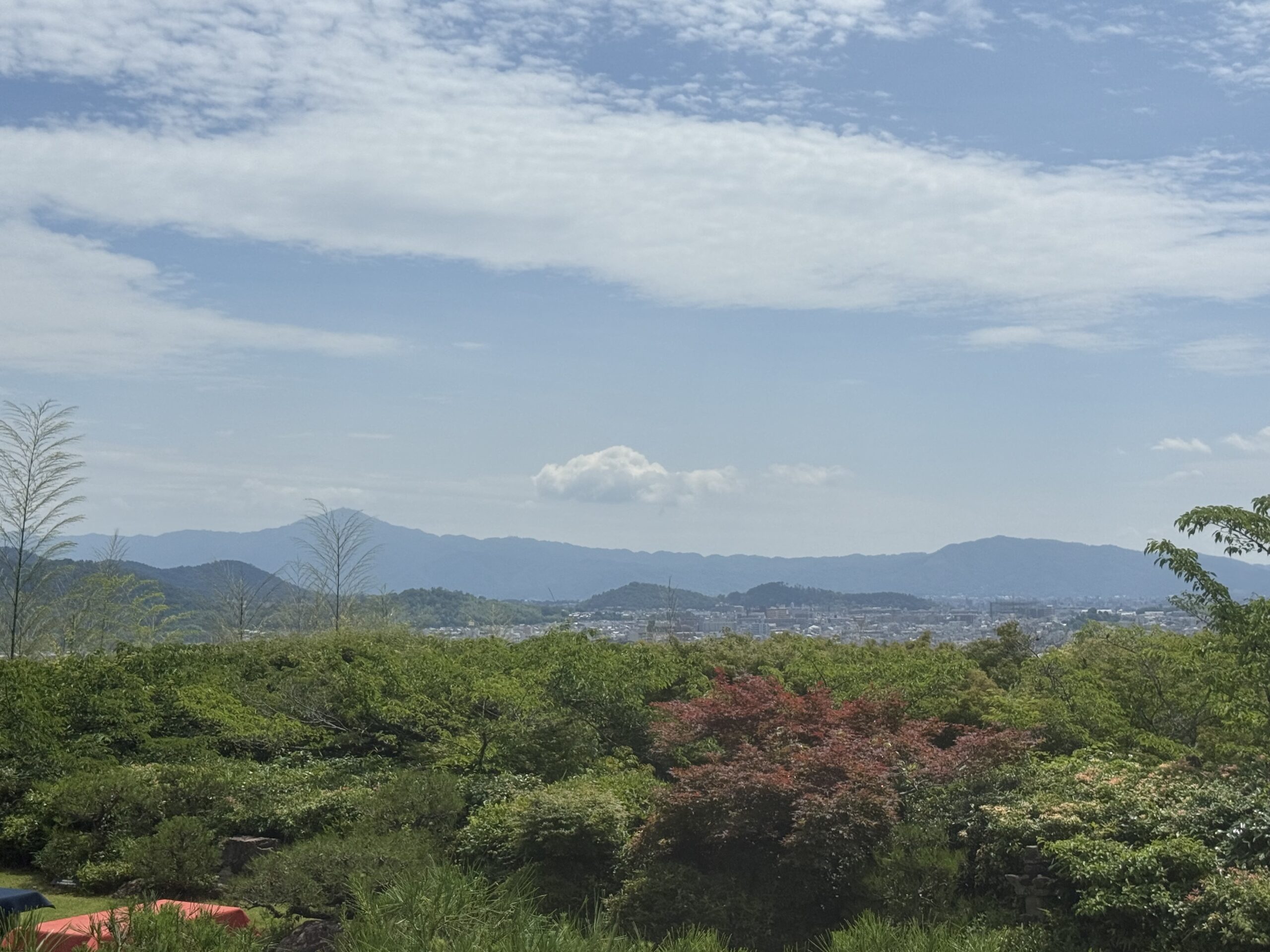 Week 3: Konnichiwa, Japan! Disney Dreams, Digital Art, and Deep Reflection
