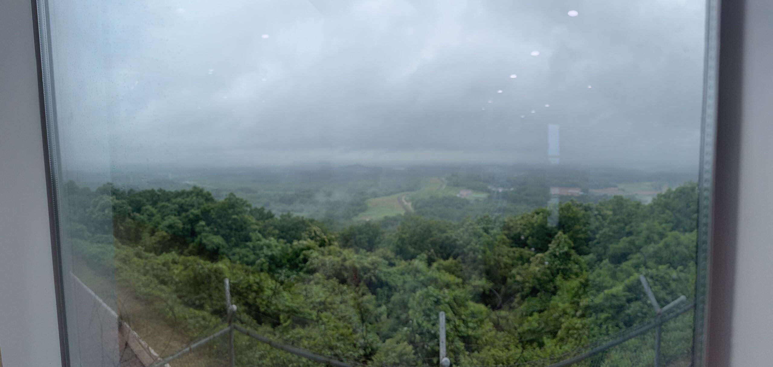 Week 4: From Bamboo Forests to BBQ Farewells – The Grand Finale of Our Asia Adventure