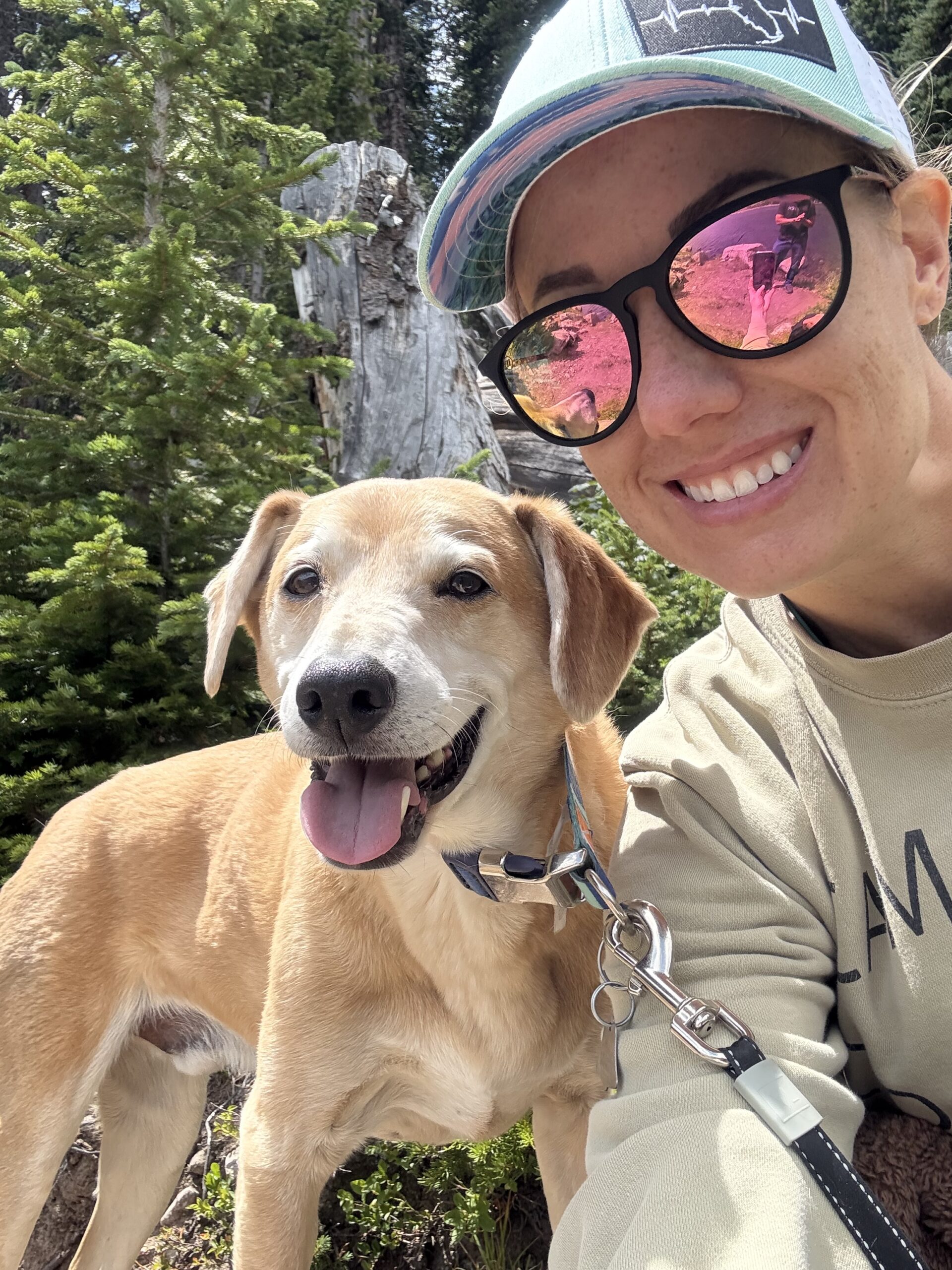 What a Travel Advisor Actually Does (Spoiler: It’s Not Just Booking Trips)