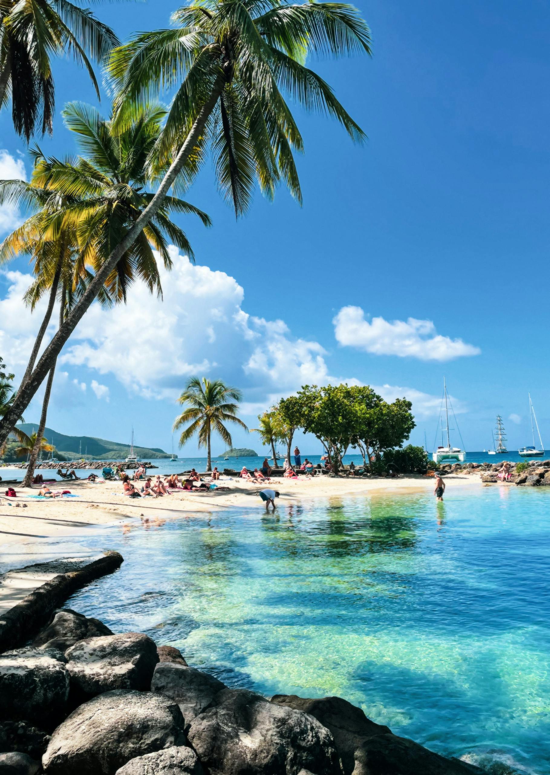 Relaxing Caribbean beach scene with palm trees and turquoise waters in Martinique.