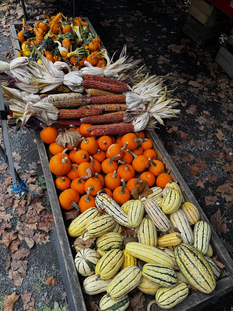 Colorful pumpkins, gourds, and corn arranged at a fall farmers market.